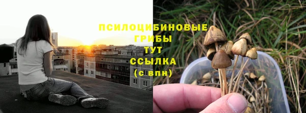 ПСИЛОЦИБИНОВЫЕ ГРИБЫ Белоозёрский