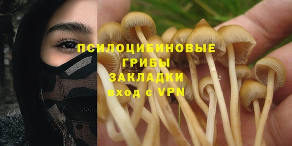 хмурый Белокуриха