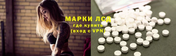 хмурый Белокуриха