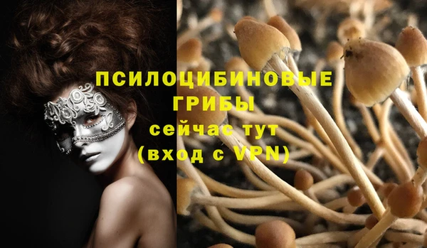 ПСИЛОЦИБИНОВЫЕ ГРИБЫ Белоозёрский