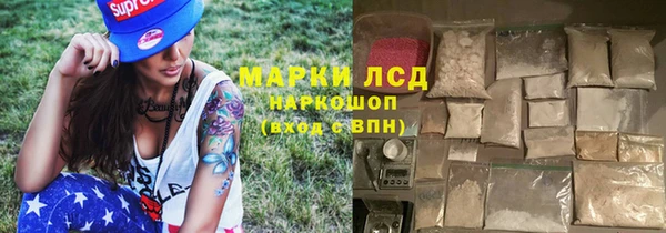 хмурый Белокуриха