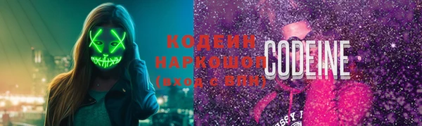хмурый Белокуриха