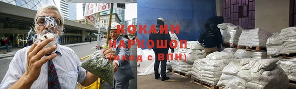 хмурый Белокуриха
