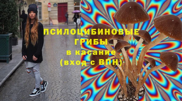 хмурый Белокуриха
