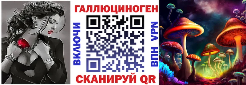 Псилоцибиновые грибы Psilocybine cubensis  даркнет сайт  Славгород 