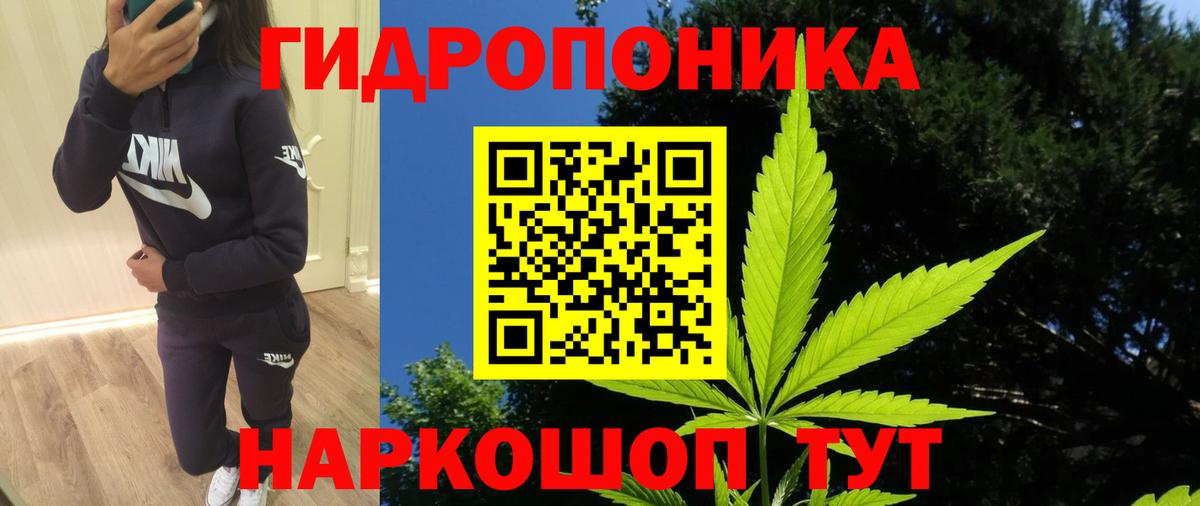 Шишки марихуана LSD WEED  Каннабис план  Славгород  Вход с VPN 